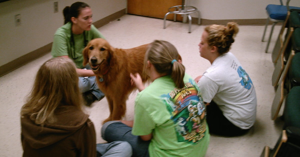 Auburn Youth Programs Advanced Vet Camp Vet Set Go
