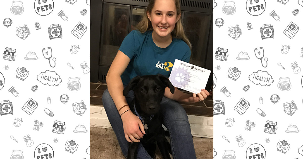 Volunteering at PALS Animal Shelter Vet Set Go