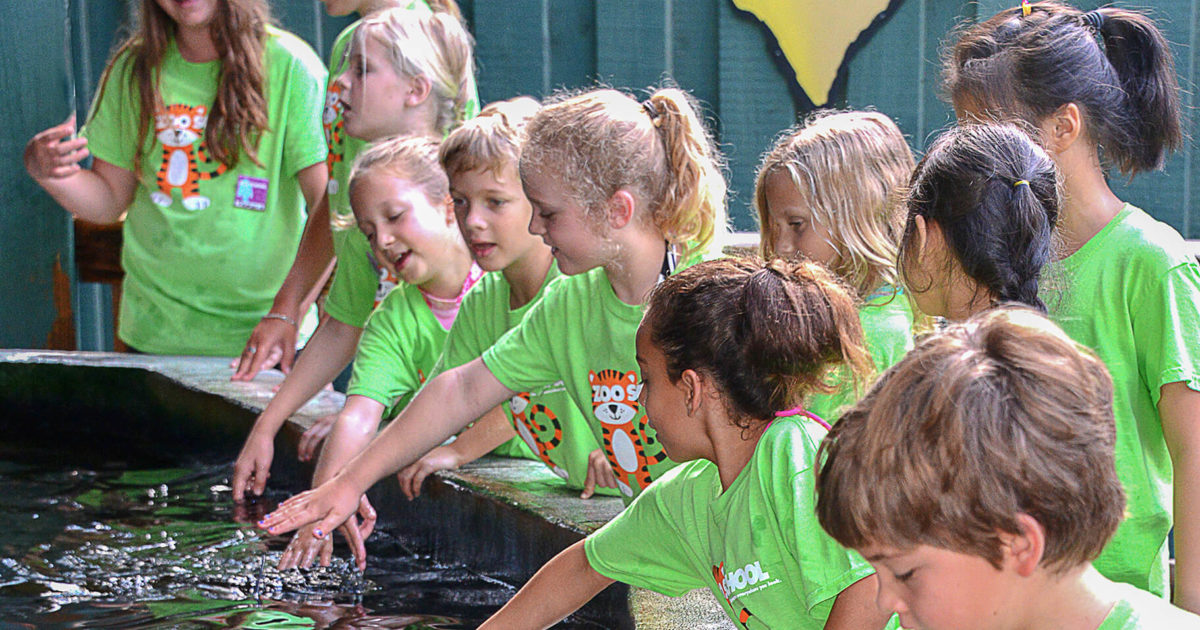 "Wild Careers" Camp at Lowry Park Zoo Vet Set Go