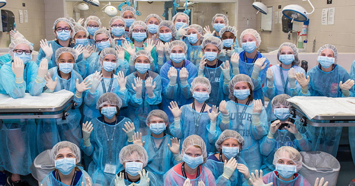 How Many Veterinarians Are There in the US? Vet Set Go