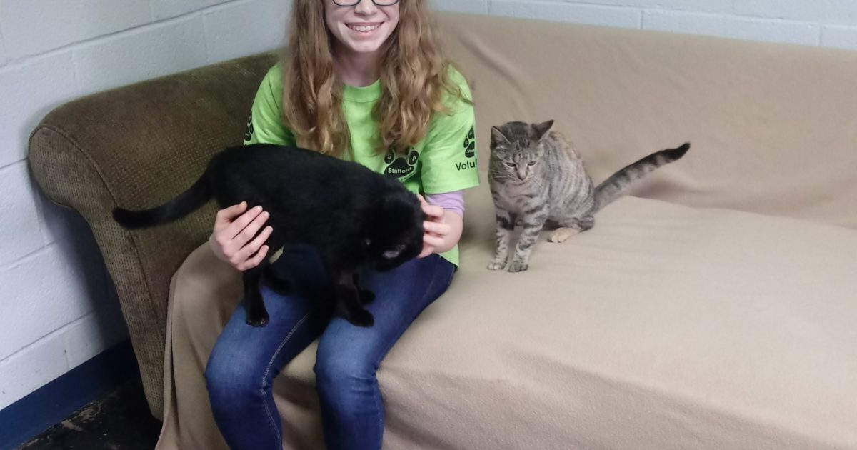 Volunteering at the Stafford SPCA Vet Set Go