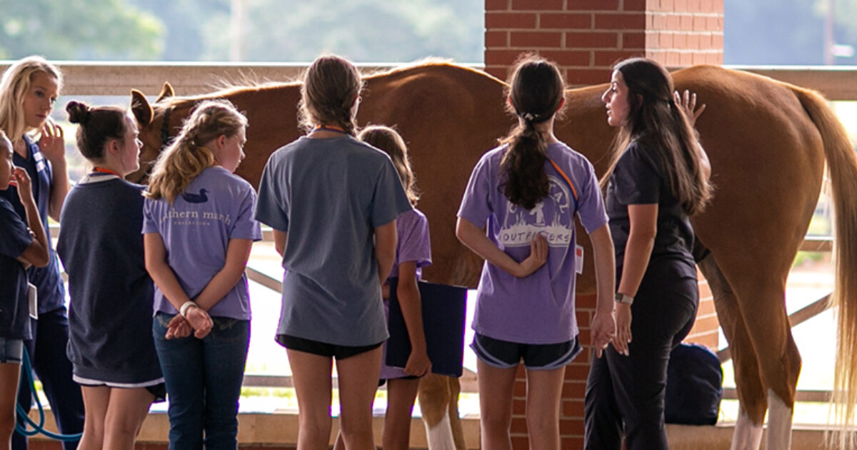 The Bigger and Better Become a Vet Camp Contest Starts Today | Vet Set Go