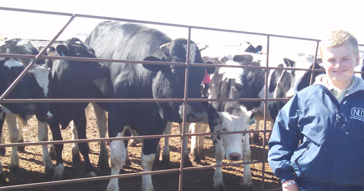 North Dakota Dairy Farm Vet Set Go