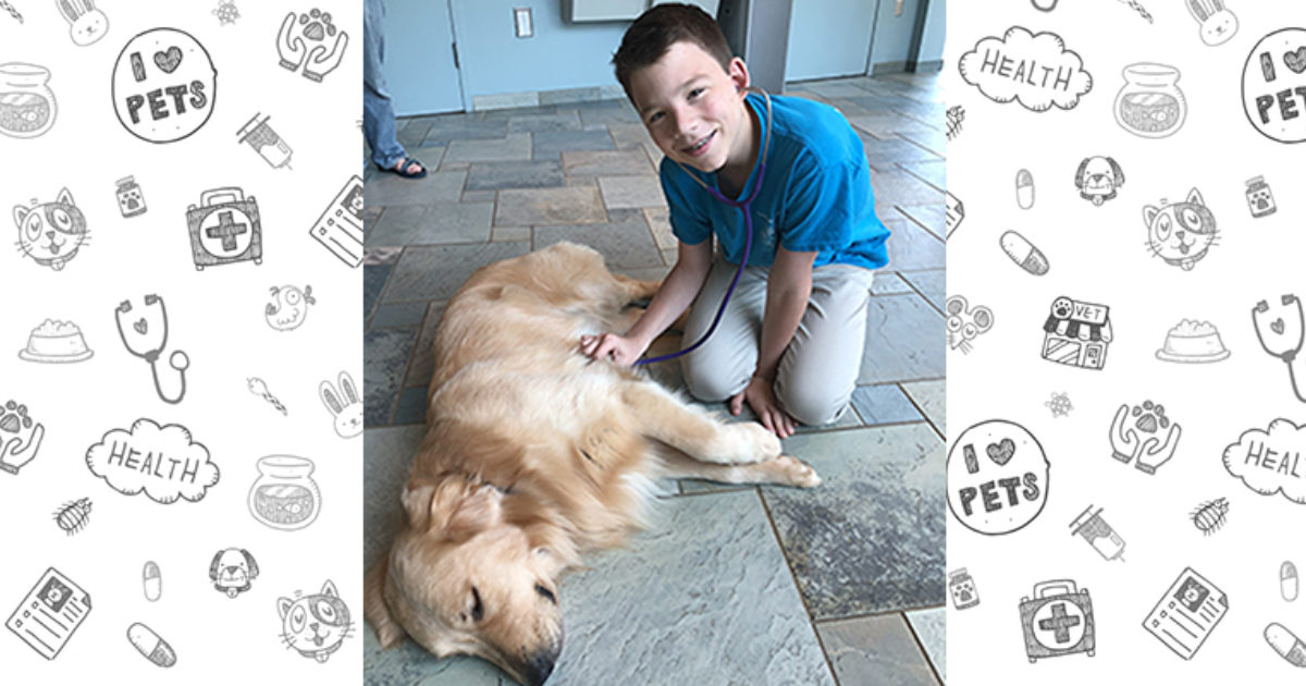 My Experience Shadowing a Vet Vet Set Go