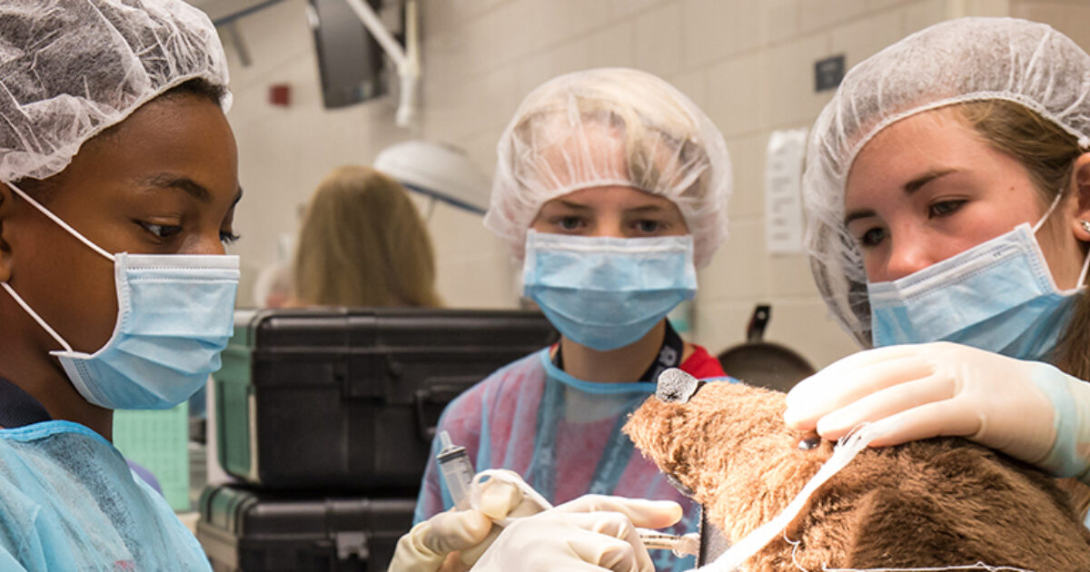 The a Vet Camp Contest is Coming Soon! Vet Set Go