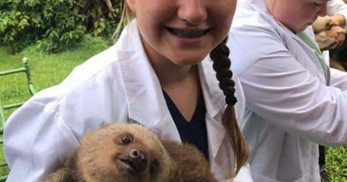 Veterinary Internship Opportunity for YOU! Vet Set Go