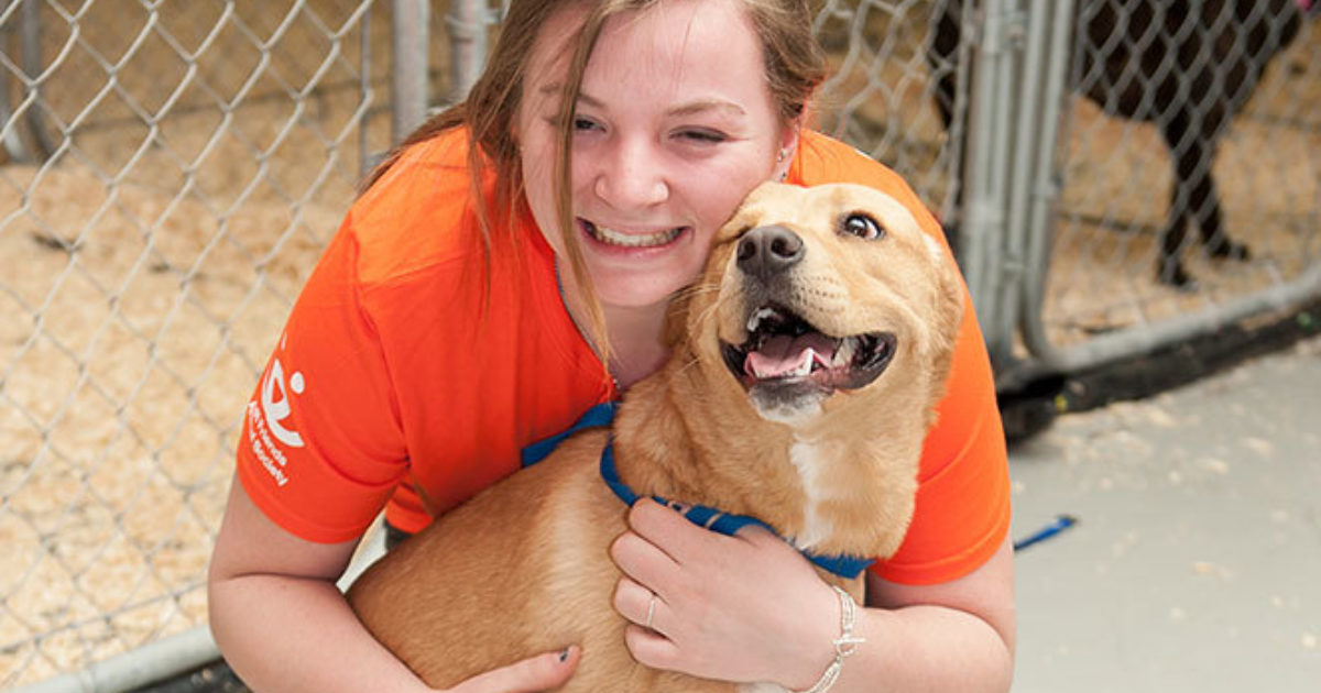 Volunteering At An Animal Shelter Vet Set Go Volunteering At An Animal Shelter Vet Set Go